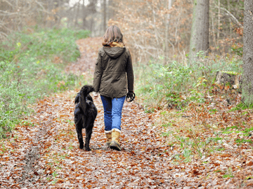 The back view of a woman in jeans, boots and a khaki coloured jacket walking a hip-height black dog along a woodland trail. 