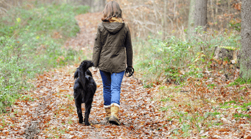 The back view of a woman in jeans, boots and a khaki coloured jacket walking a hip-height black dog along a woodland trail. 
