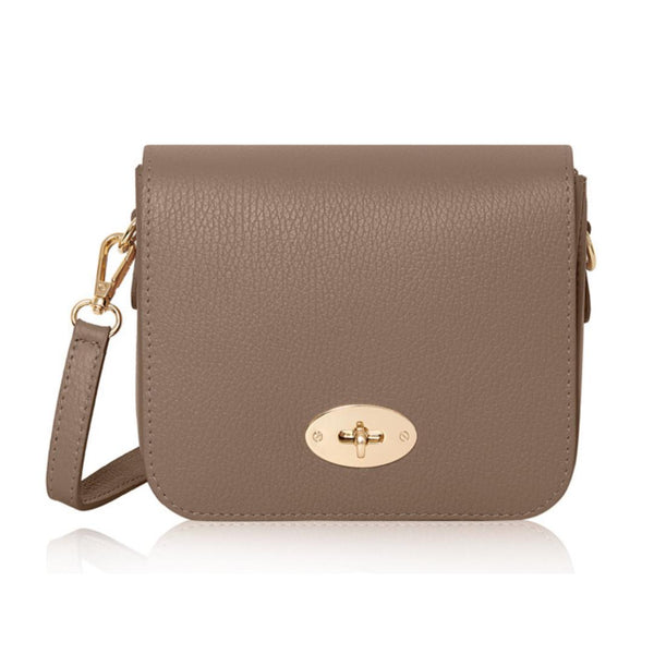 Taupe Darcey Leather Small Satchel Bag
