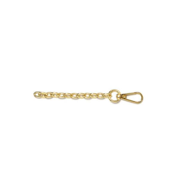 Gold Bag Extension Chain